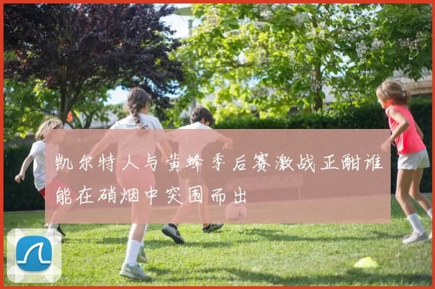 凯尔特人与黄蜂季后赛激战正酣谁能在硝烟中突围而出